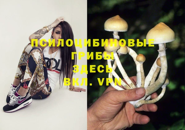 mix Медвежьегорск