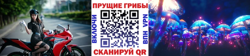 дарк нет телеграм Боготол Галлюциногенные грибы Cubensis